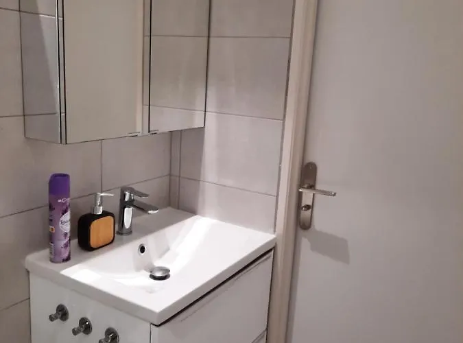 Grand T1 Au Calme - Centre Ντιζόν