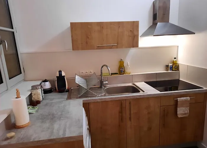 Grand T1 Au Calme - Centre