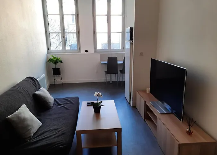 Grand T1 Au Calme - Centre *